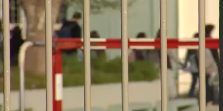 Συμμορία διακινούσε κοκαΐνη και κάνναβη σε σχολείο της Αττικής – Συνελήφθησαν 12 άτομα, οι 6 ανήλικοι μαθητές