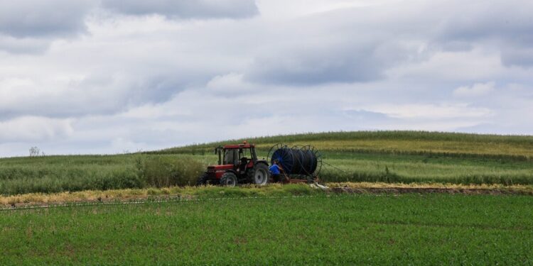 ΑΑΔΕ: Λεπτομερής έλεγχος σε 3.000 αγρότες που πήραν επιδοτήσεις από τον ΟΠΕΚΕΠΕ