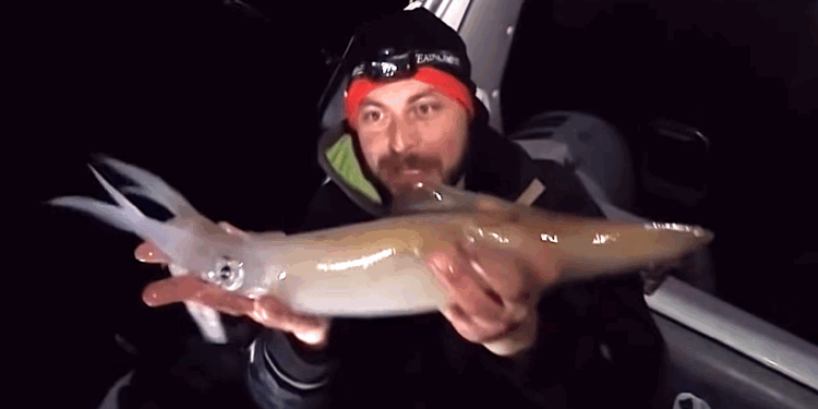 Ψάρεμα Καλαμαριών από Ακτή και Βάρκα