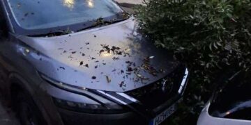 Κρήτη: Καταστροφές και ζημίες από πτώσεις δέντρων από ολιγόλεπτη καταιγίδα στο Ηράκλειο