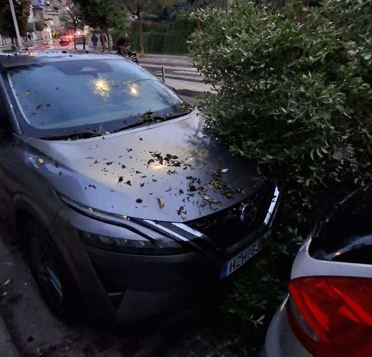 Κρήτη: Καταστροφές και ζημίες από πτώσεις δέντρων από ολιγόλεπτη καταιγίδα στο Ηράκλειο