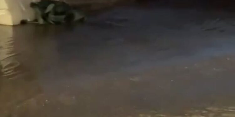 Ξεχείλισαν φρεάτια στη Νέα Χώρα των Χανίων – Τα λύματα έφτασαν μέχρι τη θάλασσα