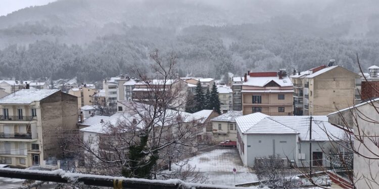 Έπεσαν τα πρώτα χιόνια του 2026: Κλειστά σήμερα τα σχολεία σε Φλώρινα και Πρέσπες