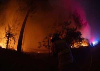 Συνεχίζεται η τεράστια πυρκαγιά στη Χιλή: Τουλάχιστον 20 νεκροί – Κάηκαν χιλιάδες στρέμματα γης