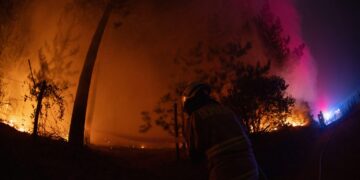 Συνεχίζεται η τεράστια πυρκαγιά στη Χιλή: Τουλάχιστον 20 νεκροί – Κάηκαν χιλιάδες στρέμματα γης