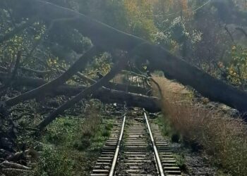 Διακόπηκαν σιδηροδρομικά δρομολόγια στη γραμμή Διακοπτό – Καλάβρυτα λόγω πτώσης δέντρου στις ράγες του τρένου