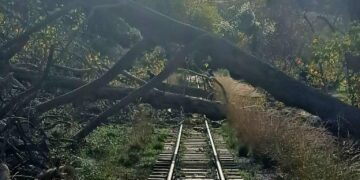 Διακόπηκαν σιδηροδρομικά δρομολόγια στη γραμμή Διακοπτό – Καλάβρυτα λόγω πτώσης δέντρου στις ράγες του τρένου