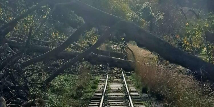 Διακόπηκαν σιδηροδρομικά δρομολόγια στη γραμμή Διακοπτό – Καλάβρυτα λόγω πτώσης δέντρου στις ράγες του τρένου