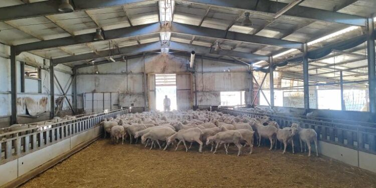 Εθνική Επιστημονική Επιτροπή Διαχείρισης και Ελέγχου της Ευλογιάς (ΕΕΕΔΕΕ): "Αυστηρά μέτρα και όχι μαζικός εμβολιασμός για την ευλογιά"