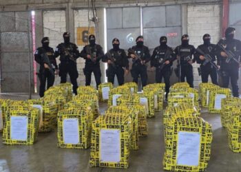 Γουατεμάλα: Κατάσχεση - "μαμούθ" 4,9 τόνων κοκαΐνης μέσα σε εμπορευματοκιβώτια με αλεύρι