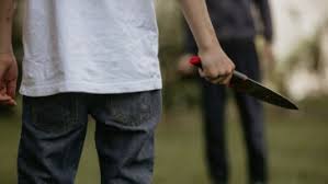 Άγρια συμπλοκή στη Δροσιά Χαλκίδας -Τέσσερις τραυματίες