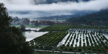 Υπερχείλισε ο ποταμός Καλαμάς στην Ήπειρο – Μάχη για την απομάκρυνση φερτών υλικών στο φράγμα Ράγιου