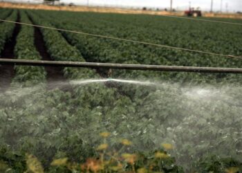 ΑΑΔΕ: Άνοιξε την Δευτέρα 9/2 το σύστημα υποβολής της Ενιαίας Αίτησης Ενίσχυσης – Μέχρι 27 Φεβρουαρίου οι διορθώσεις 2024 και 2025
