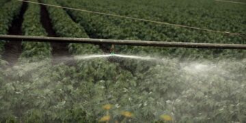 ΑΑΔΕ: Άνοιξε την Δευτέρα 9/2 το σύστημα υποβολής της Ενιαίας Αίτησης Ενίσχυσης – Μέχρι 27 Φεβρουαρίου οι διορθώσεις 2024 και 2025