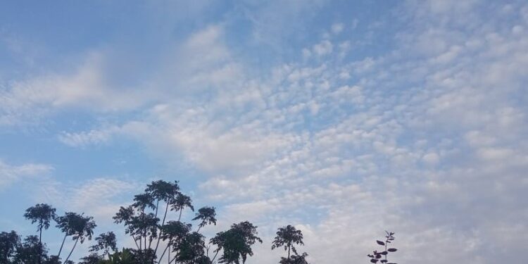 Ο καιρός σήμερα, Κυριακή 22 Φεβρουαρίου 2026