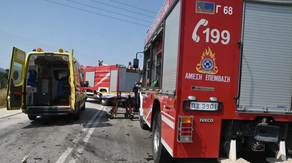 Αυτοκίνητο τυλίχτηκε στις φλόγες εν κινήσει στην Εθνική Οδό Αθηνών – Λαμίας