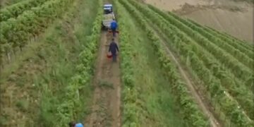 Η Βραζιλία επικύρωσε τη συμφωνία μεταξύ ΕΕ-Mercosur για το εμπόριο