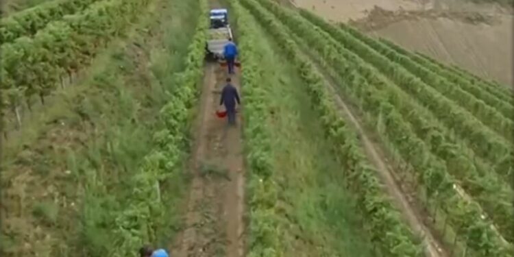 Η Βραζιλία επικύρωσε τη συμφωνία μεταξύ ΕΕ-Mercosur για το εμπόριο