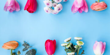 Όταν Ανθίζει η Φύση: Οδηγός για τα Πιο Όμορφα Λουλούδια της Άνοιξης