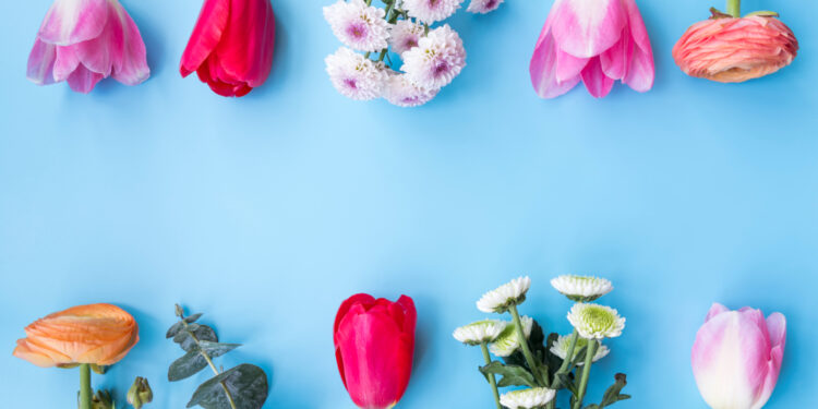 Όταν Ανθίζει η Φύση: Οδηγός για τα Πιο Όμορφα Λουλούδια της Άνοιξης