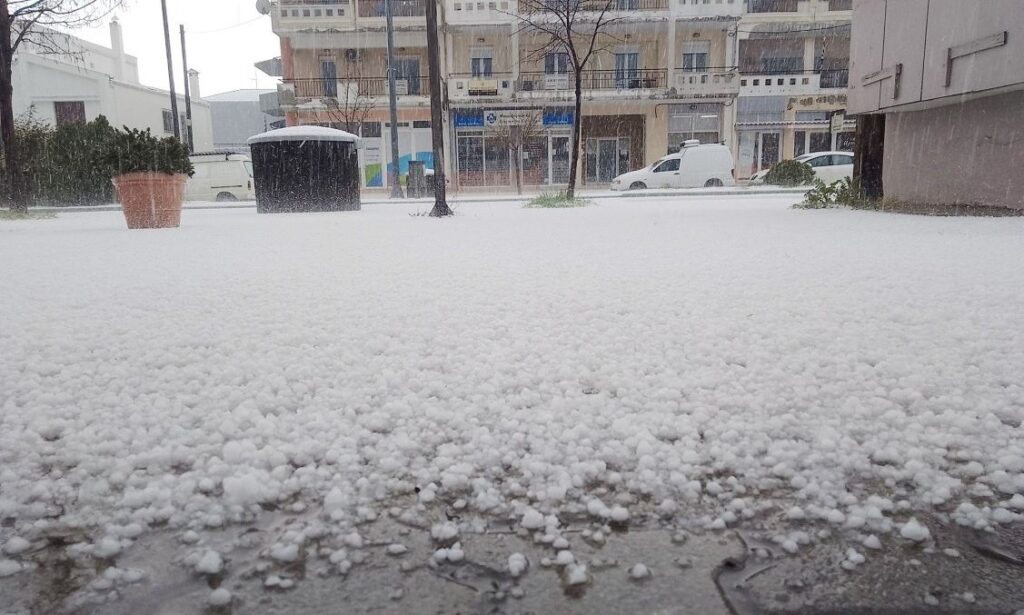 Η κακοκαιρία «Erminio» «χτύπησε» τον Πολύγυρο Χαλκιδικής με έντονη χαλαζόπτωση που μετέτρεψε το τοπίο σε χειμωνιάτικο σκηνικό, προκαλώντας λευκό «πέπλο» στην περιοχή και εικόνες που θύμιζαν χιονόπτωση. Το newsletter του iEidiseis καθημερινά στο inbox σου. Κάνε εγγραφή εδώ. Σύμφωνα με το halkidikinews, η ένταση του φαινομένου ήταν τέτοια που μέσα σε ελάχιστο χρόνο το χαλάζι κάλυψε κάθε επιφάνεια στο κέντρο της πόλης, δυσκολεύοντας την κυκλοφορία των οχημάτων και προκαλώντας ανησυχία στους κατοίκους και τους επαγγελματίες. Όπως φαίνεται και στις χαρακτηριστικές φωτογραφίες, η ορατότητα περιορίστηκε σημαντικά, ενώ οι οδηγοί αναγκάστηκαν να ακινητοποιήσουν τα οχήματά τους μέχρι να κοπάσει η ένταση.