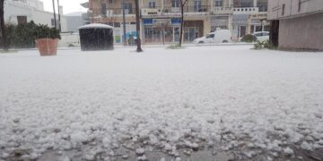 Η κακοκαιρία «Erminio» «χτύπησε» τον Πολύγυρο Χαλκιδικής με έντονη χαλαζόπτωση που μετέτρεψε το τοπίο σε χειμωνιάτικο σκηνικό, προκαλώντας λευκό «πέπλο» στην περιοχή και εικόνες που θύμιζαν χιονόπτωση. Το newsletter του iEidiseis καθημερινά στο inbox σου. Κάνε εγγραφή εδώ. Σύμφωνα με το halkidikinews, η ένταση του φαινομένου ήταν τέτοια που μέσα σε ελάχιστο χρόνο το χαλάζι κάλυψε κάθε επιφάνεια στο κέντρο της πόλης, δυσκολεύοντας την κυκλοφορία των οχημάτων και προκαλώντας ανησυχία στους κατοίκους και τους επαγγελματίες. Όπως φαίνεται και στις χαρακτηριστικές φωτογραφίες, η ορατότητα περιορίστηκε σημαντικά, ενώ οι οδηγοί αναγκάστηκαν να ακινητοποιήσουν τα οχήματά τους μέχρι να κοπάσει η ένταση.