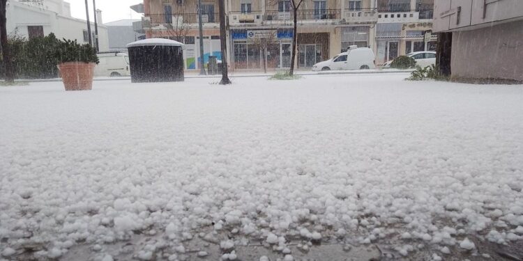 Η κακοκαιρία «Erminio» «χτύπησε» τον Πολύγυρο Χαλκιδικής με έντονη χαλαζόπτωση που μετέτρεψε το τοπίο σε χειμωνιάτικο σκηνικό, προκαλώντας λευκό «πέπλο» στην περιοχή και εικόνες που θύμιζαν χιονόπτωση. Το newsletter του iEidiseis καθημερινά στο inbox σου. Κάνε εγγραφή εδώ. Σύμφωνα με το halkidikinews, η ένταση του φαινομένου ήταν τέτοια που μέσα σε ελάχιστο χρόνο το χαλάζι κάλυψε κάθε επιφάνεια στο κέντρο της πόλης, δυσκολεύοντας την κυκλοφορία των οχημάτων και προκαλώντας ανησυχία στους κατοίκους και τους επαγγελματίες. Όπως φαίνεται και στις χαρακτηριστικές φωτογραφίες, η ορατότητα περιορίστηκε σημαντικά, ενώ οι οδηγοί αναγκάστηκαν να ακινητοποιήσουν τα οχήματά τους μέχρι να κοπάσει η ένταση.
