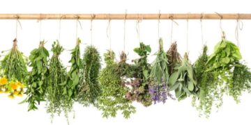 4 καταπραϋντικά ροφήματα που μπορούν να σας βοηθήσουν για να ανακουφιστείτε από το άγχος