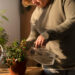 How Often Should You Water Plants? A Simple Guide for Healthier Growth