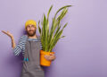 Snake Plant Care Made Simple