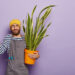 Snake Plant Care Made Simple
